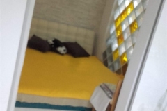 Garsoniera Ion Mihalache Domenii