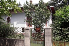 Teren Domenii Ion Mihalache
