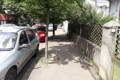 Teren Domenii Ion Mihalache