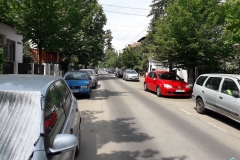 Teren Domenii Ion Mihalache