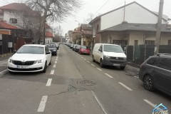 Teren Domenii, Mihalache