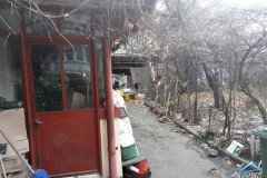 Teren Domenii, Mihalache