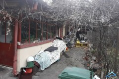 Teren Domenii, Mihalache