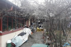 Teren Domenii, Mihalache